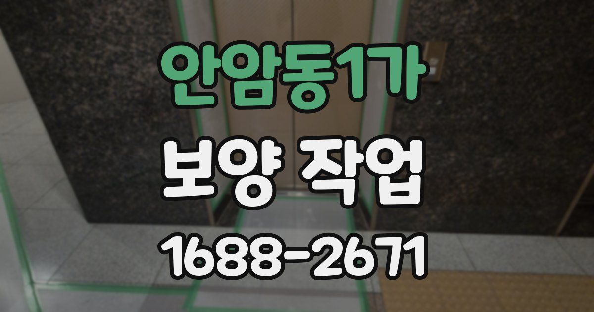안암동1가 보양 작업