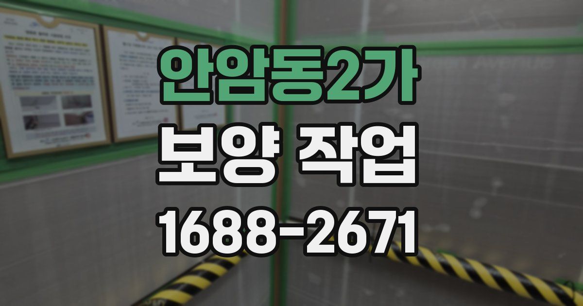 안암동2가 보양 작업