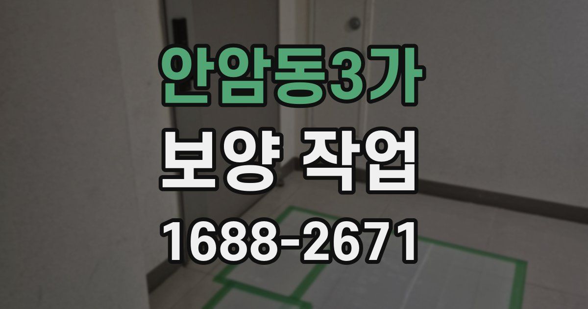 안암동3가 보양 작업