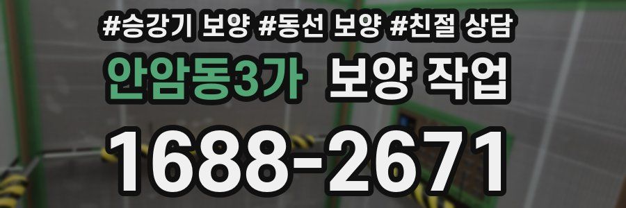 안암동3가 보양 작업