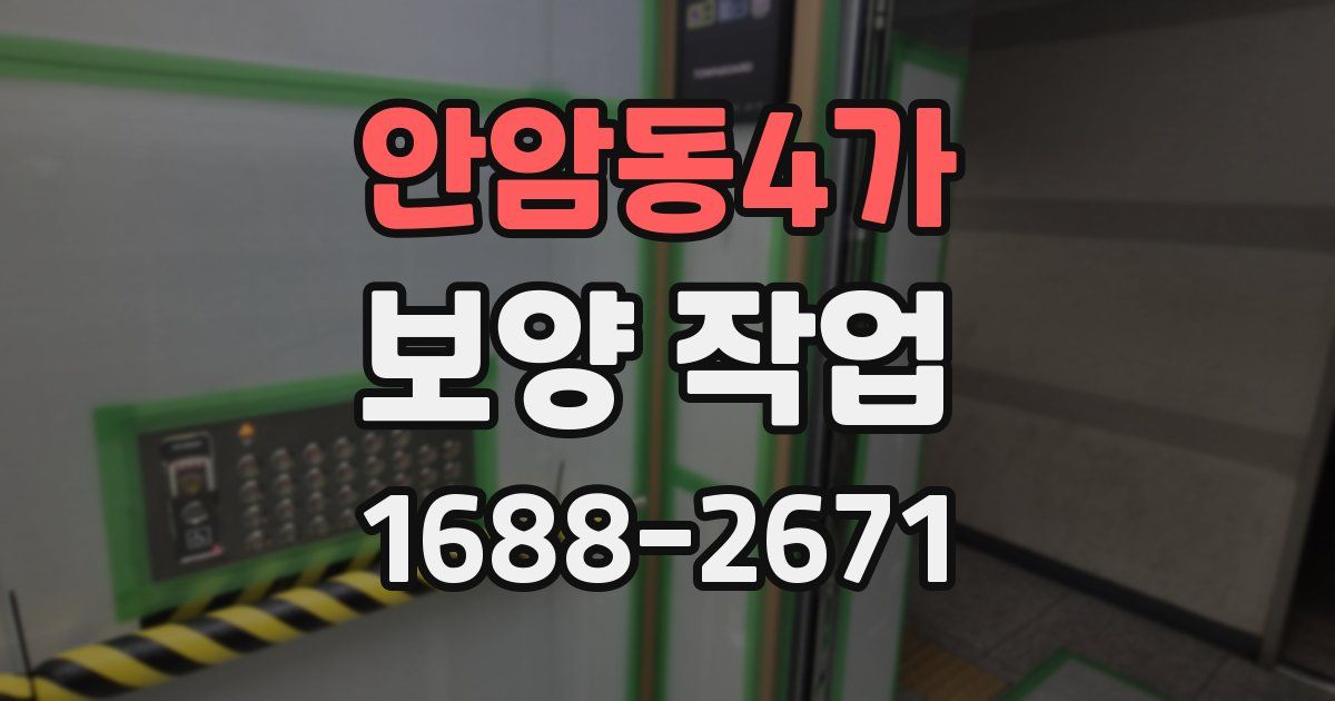 안암동4가 보양 작업