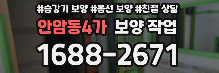 안암동4가 보양 작업