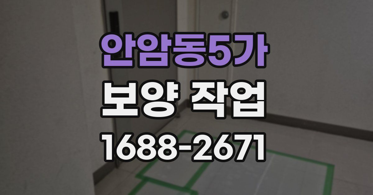 안암동5가 보양 작업