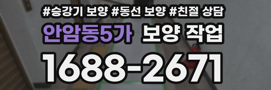 안암동5가 보양 작업