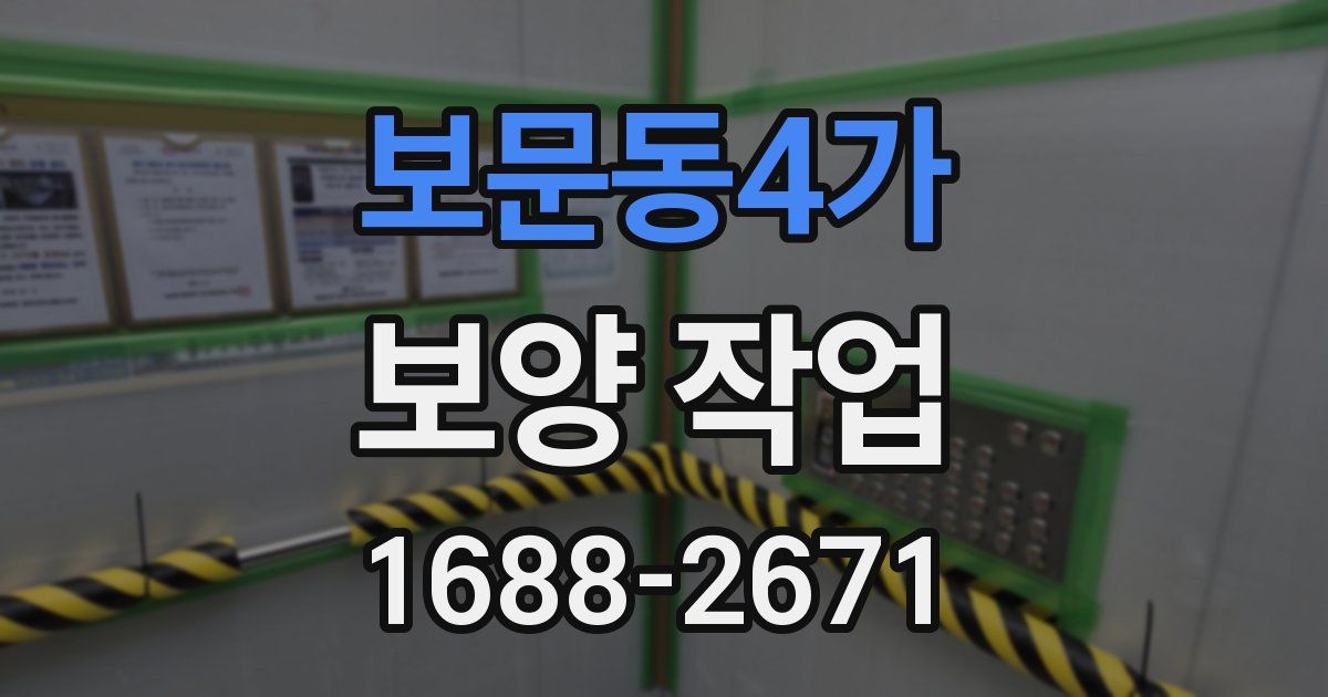 보문동4가 보양 작업