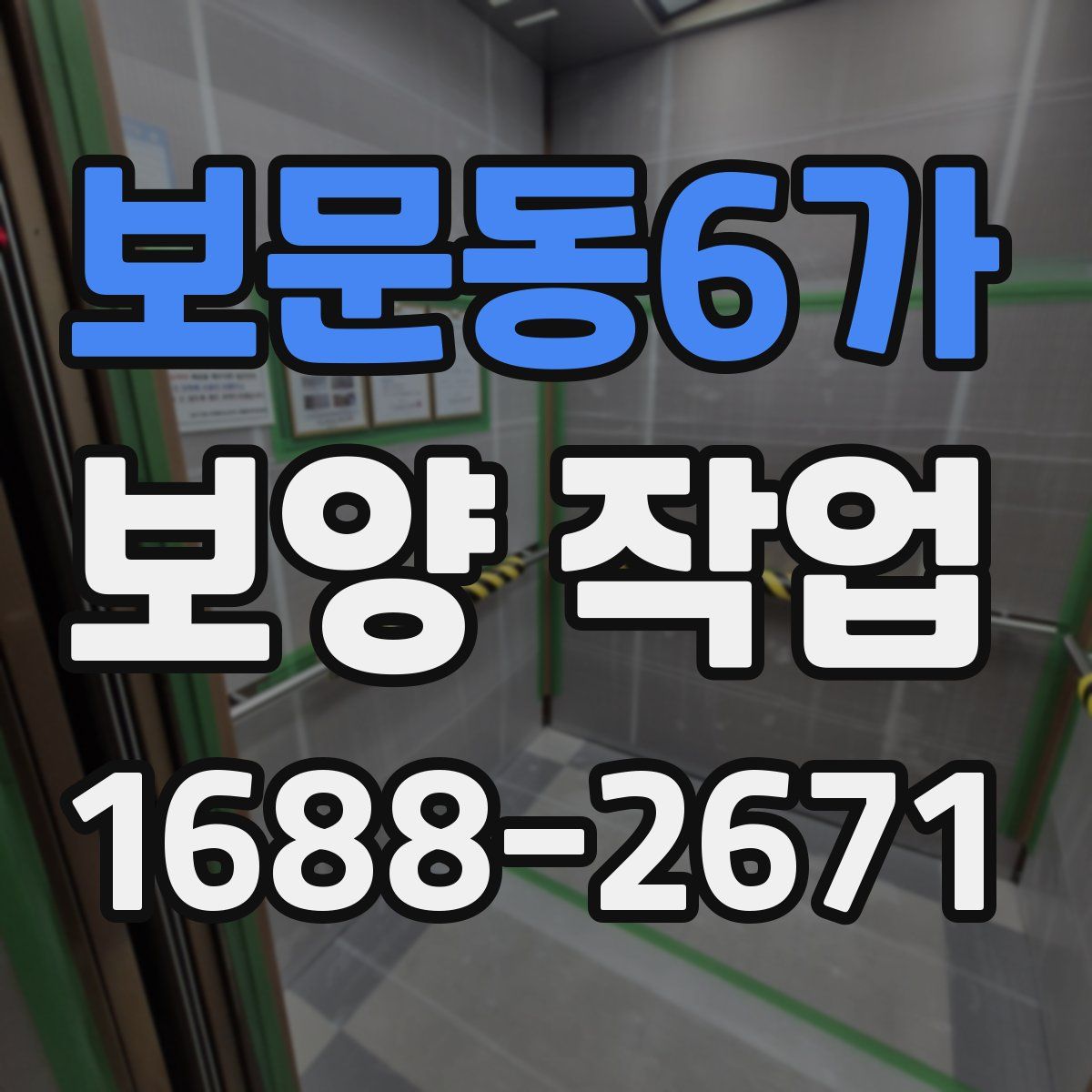 보문동6가 보양 작업