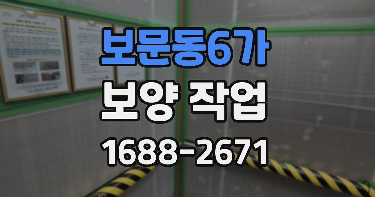 보문동6가 보양 작업