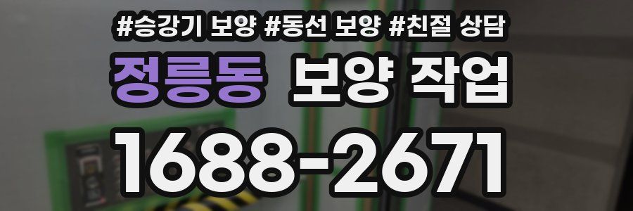 정릉동 보양 작업