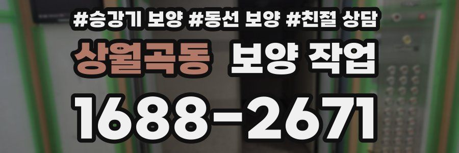 상월곡동 보양 작업