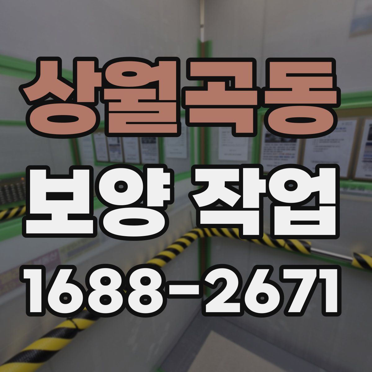 상월곡동 보양 작업