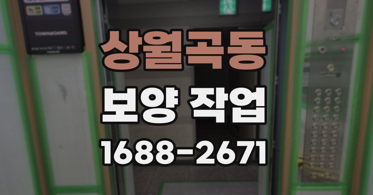 상월곡동 보양 작업