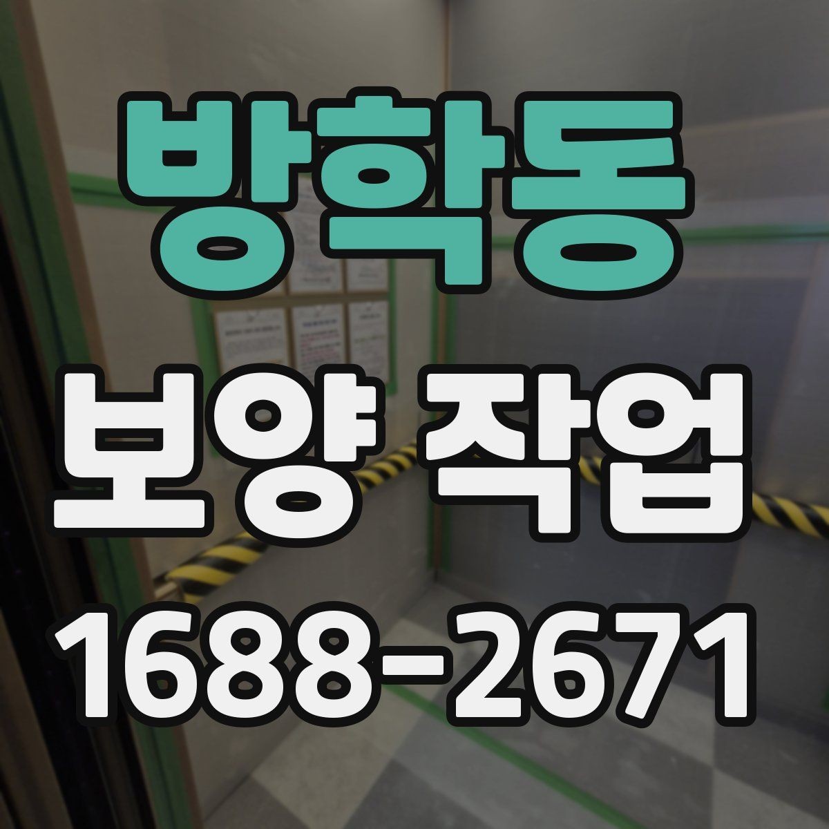 방학동 보양 작업 준비물 구매 전에 따져볼 점