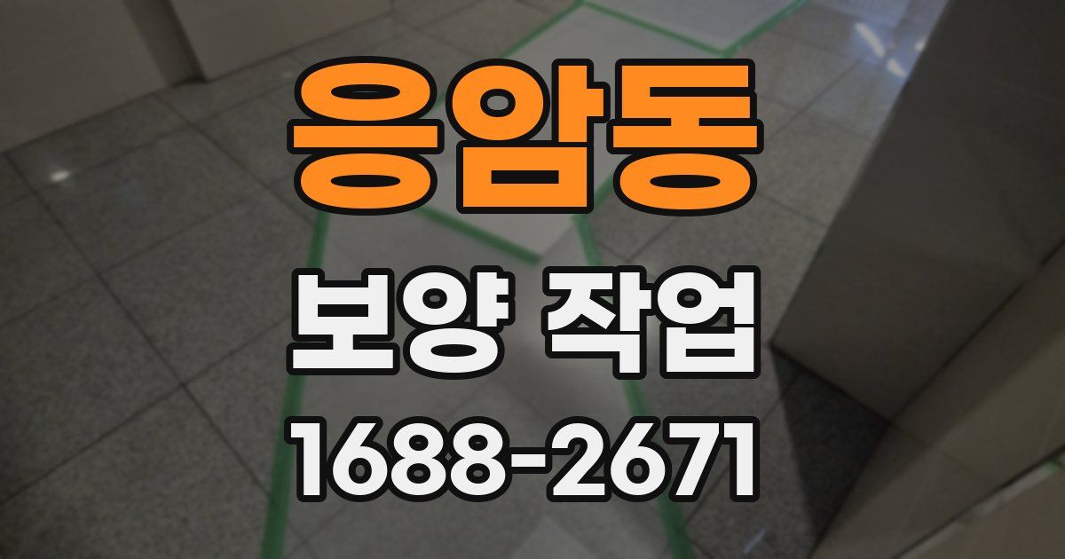 응암동 보양 작업