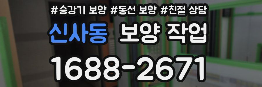 신사동 보양 작업