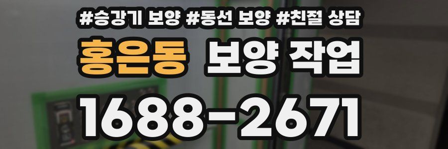 홍은동 보양 작업
