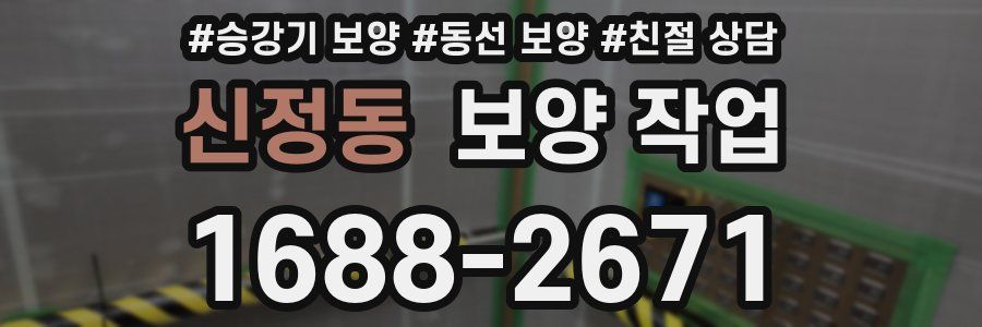 신정동 보양 작업