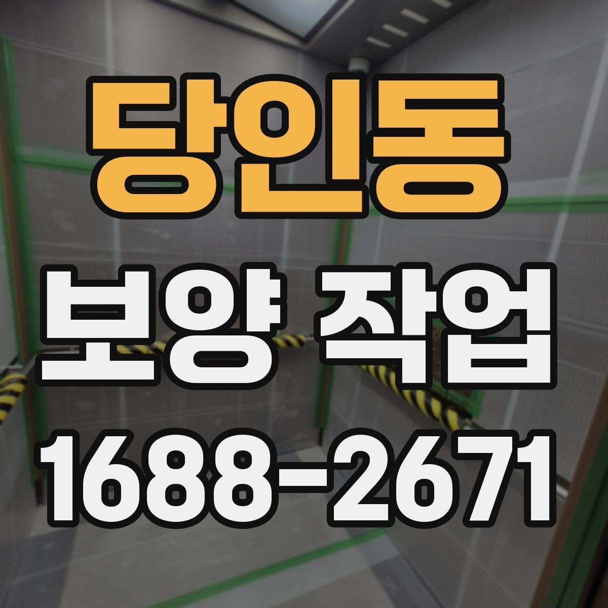 당인동 보양 작업 전후 비교로 보는 관리 차이