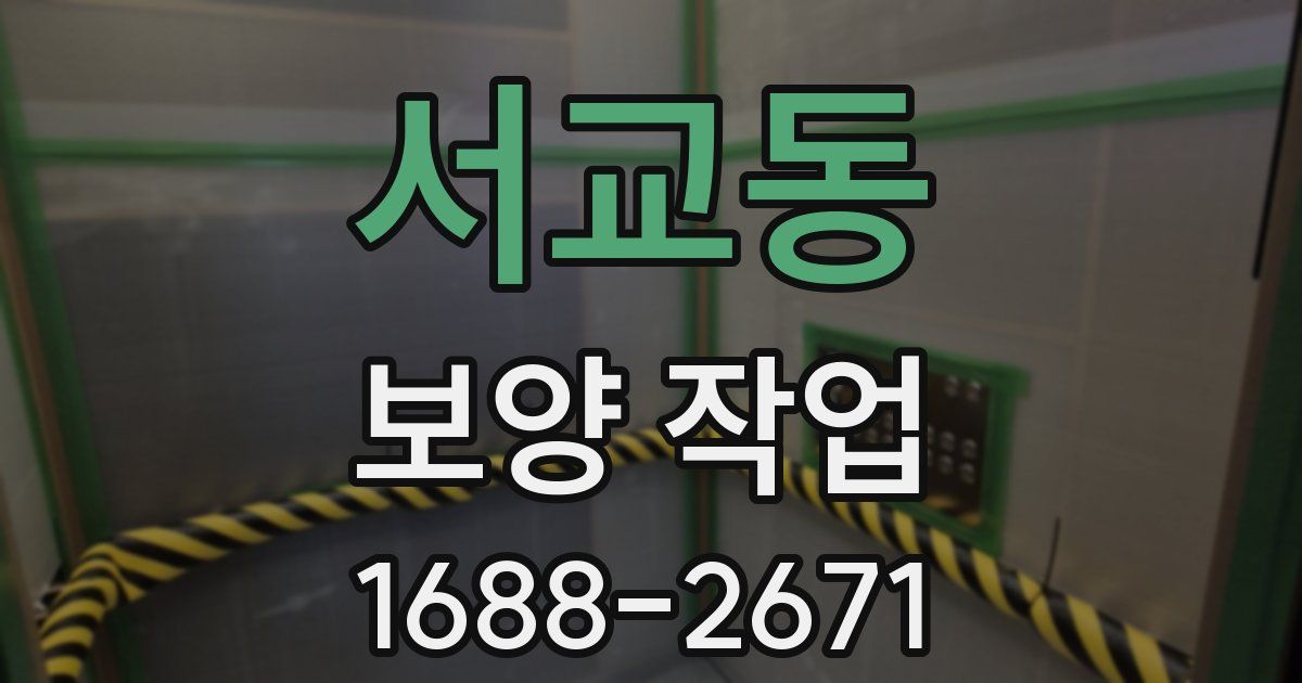 서교동 보양 작업
