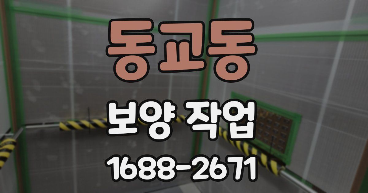 동교동 보양 작업