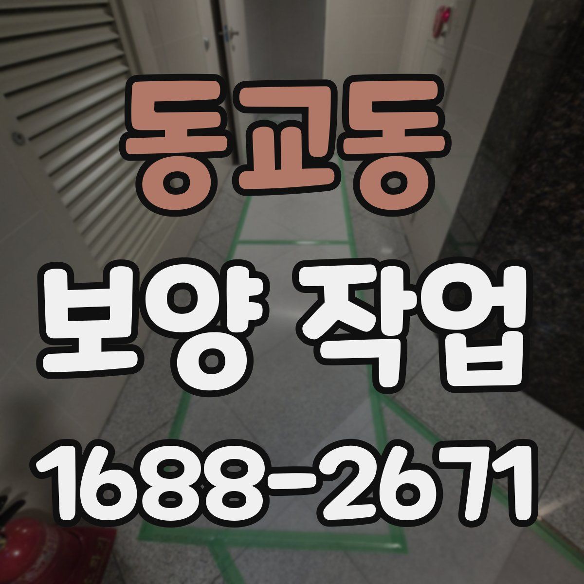 동교동 보양 작업