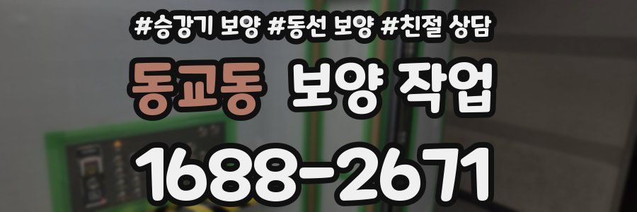 동교동 보양 작업