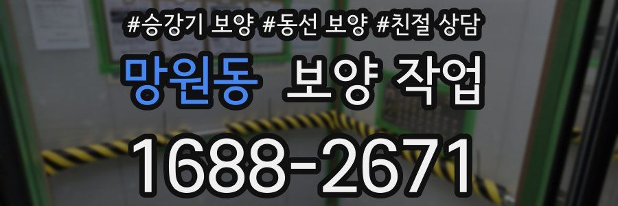 망원동 보양 작업