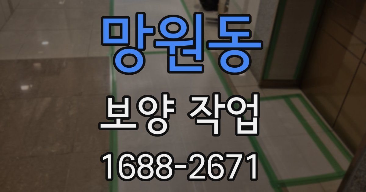 망원동 보양 작업