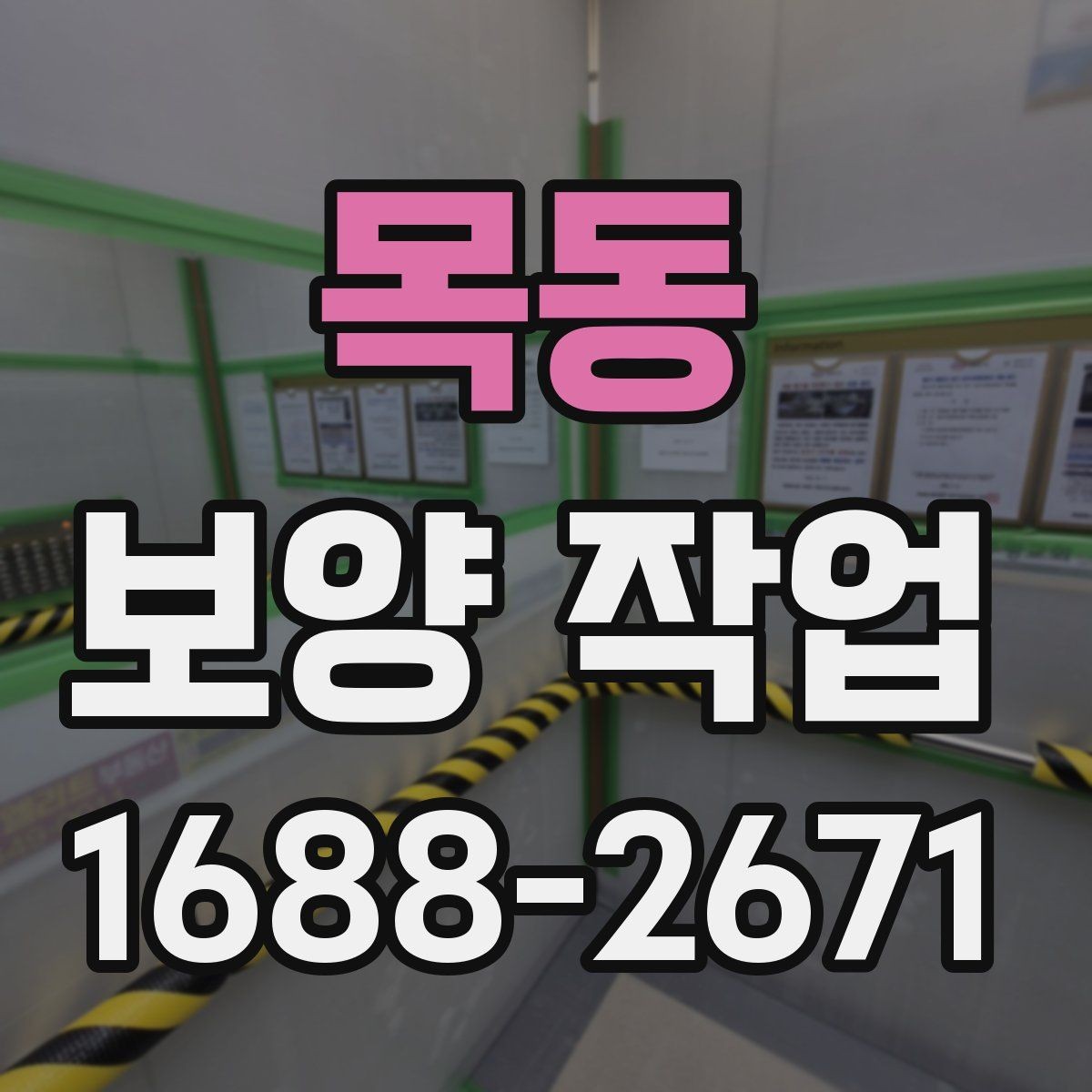 목동 보양 작업 전후로 달라지는 관리 포인트