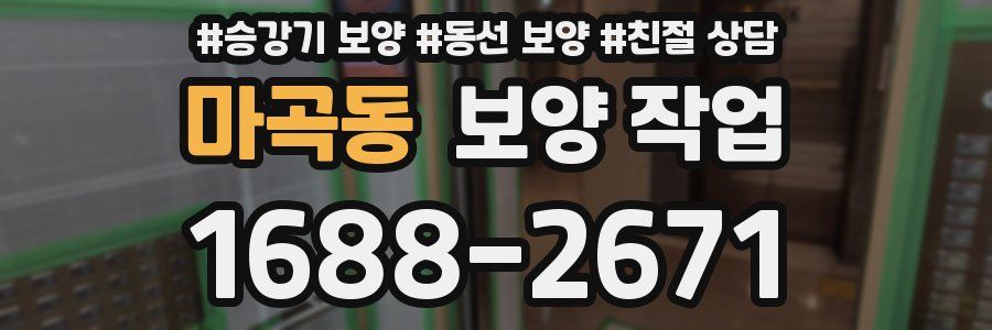 마곡동 보양 작업