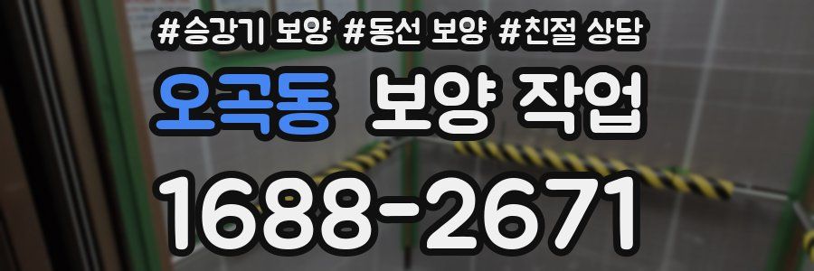 오곡동 보양 작업