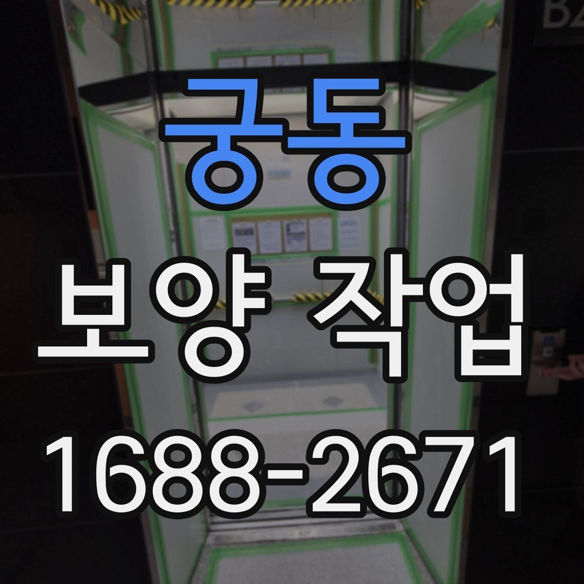 궁동 보양 작업 전후 비교로 보는 관리 차이