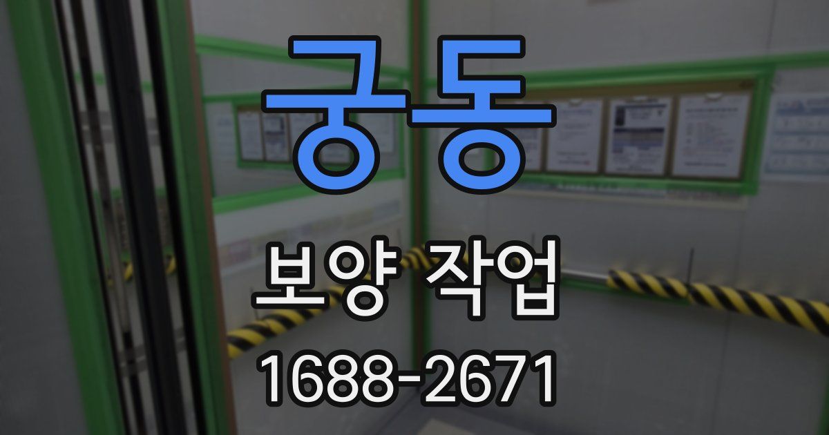 궁동 보양 작업