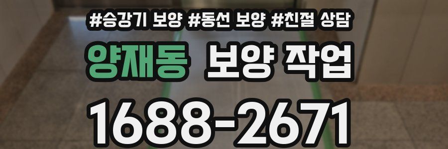 양재동 보양 작업