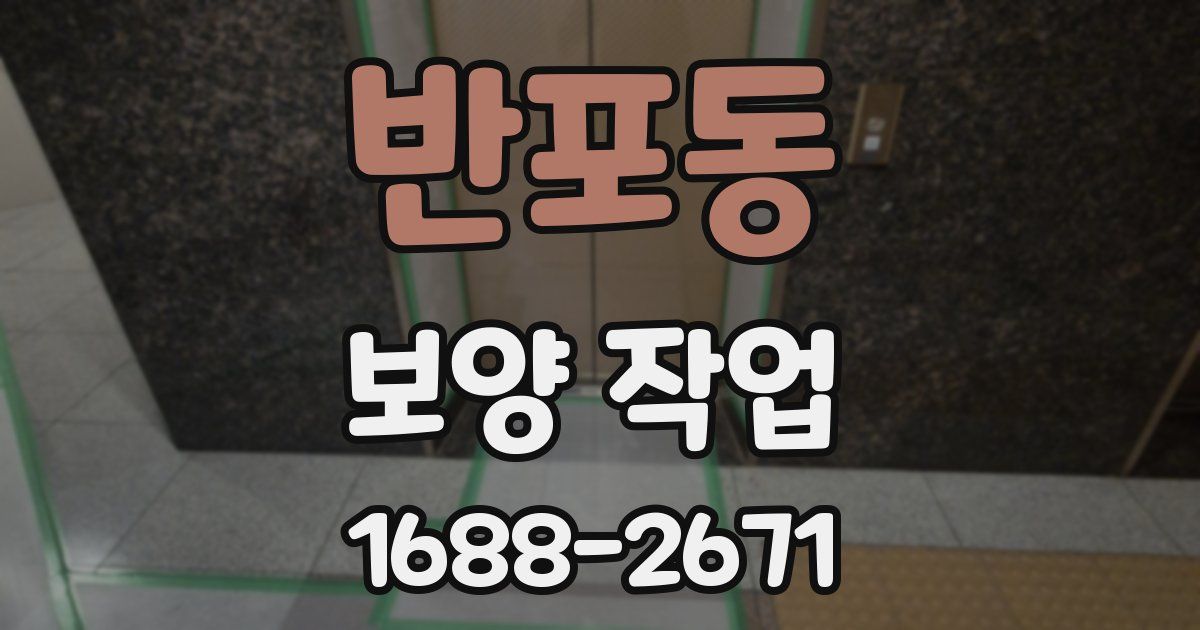 반포동 보양 작업