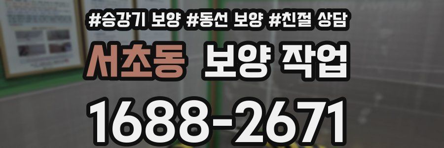 서초동 보양 작업