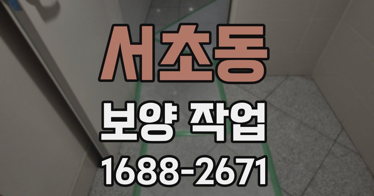 서초동 보양 작업