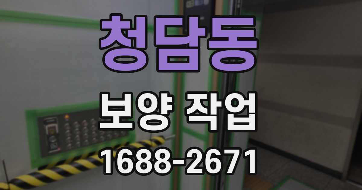 청담동 보양 작업