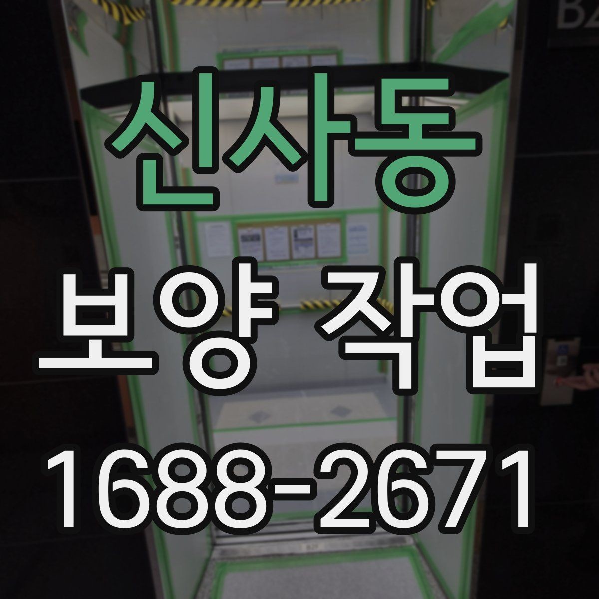 신사동 보양 작업 관련 오해와 실제 차이