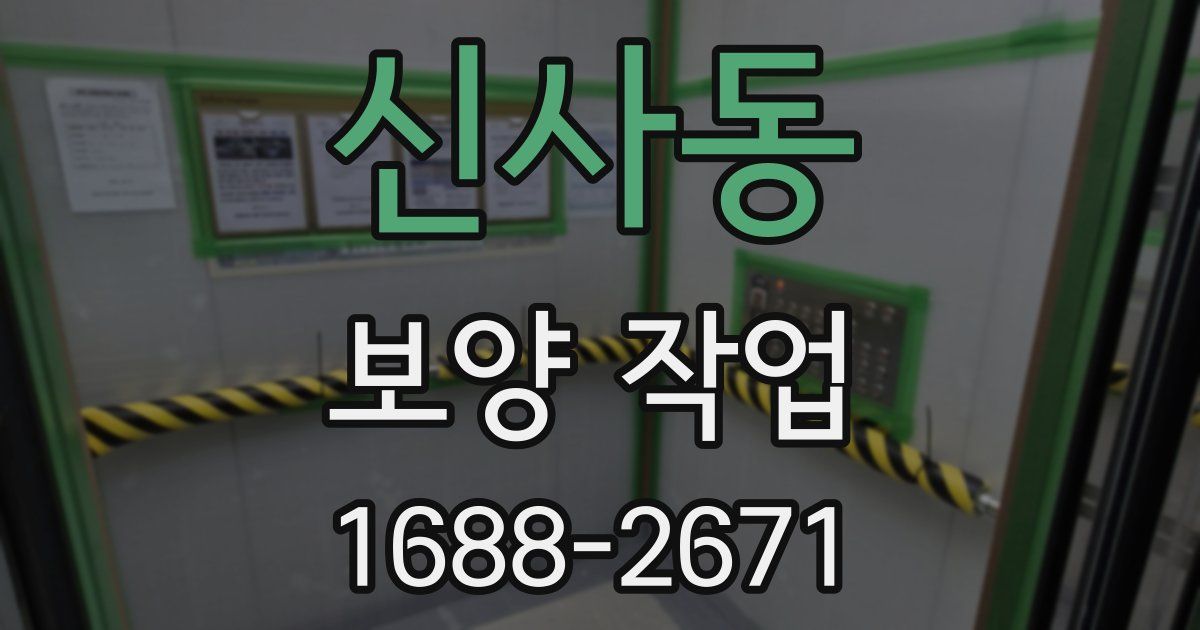 신사동 보양 작업