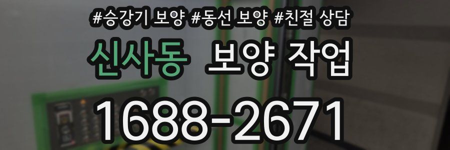 신사동 보양 작업