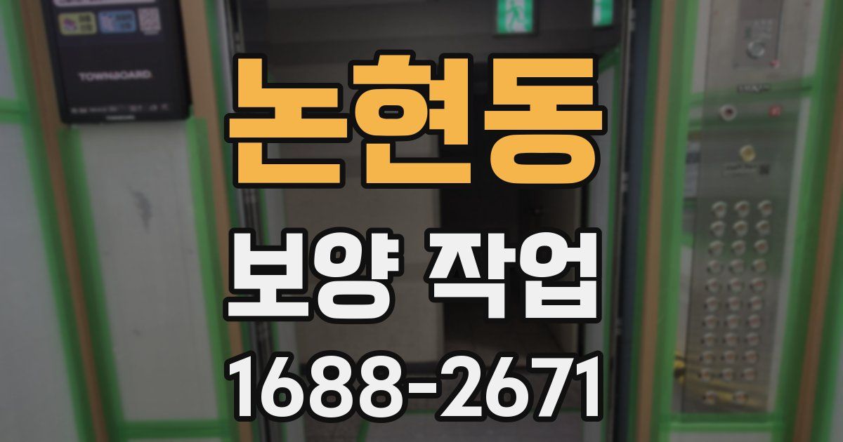 논현동 보양 작업