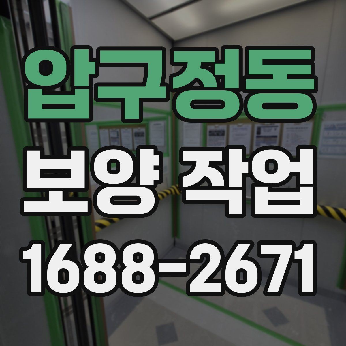 압구정동 보양 작업 전후 사진으로 보는 현장 변화