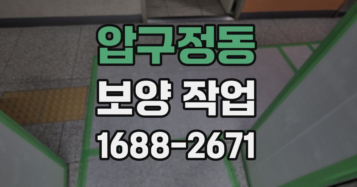 압구정동 보양 작업