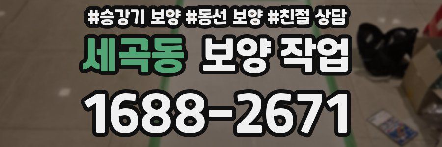 세곡동 보양 작업