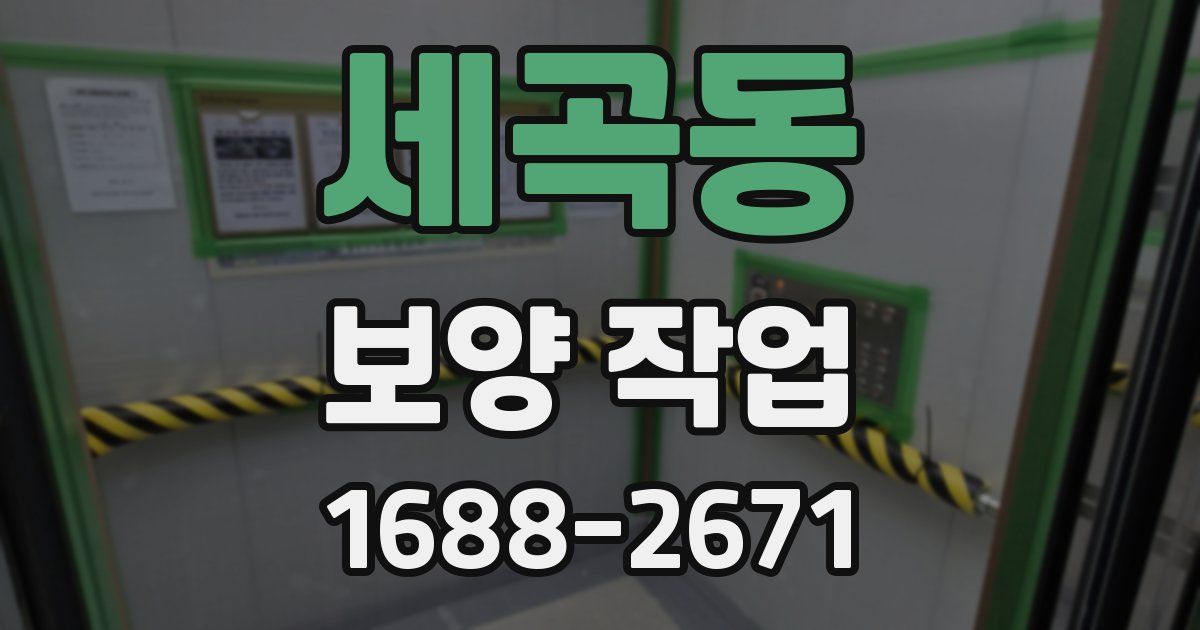 세곡동 보양 작업