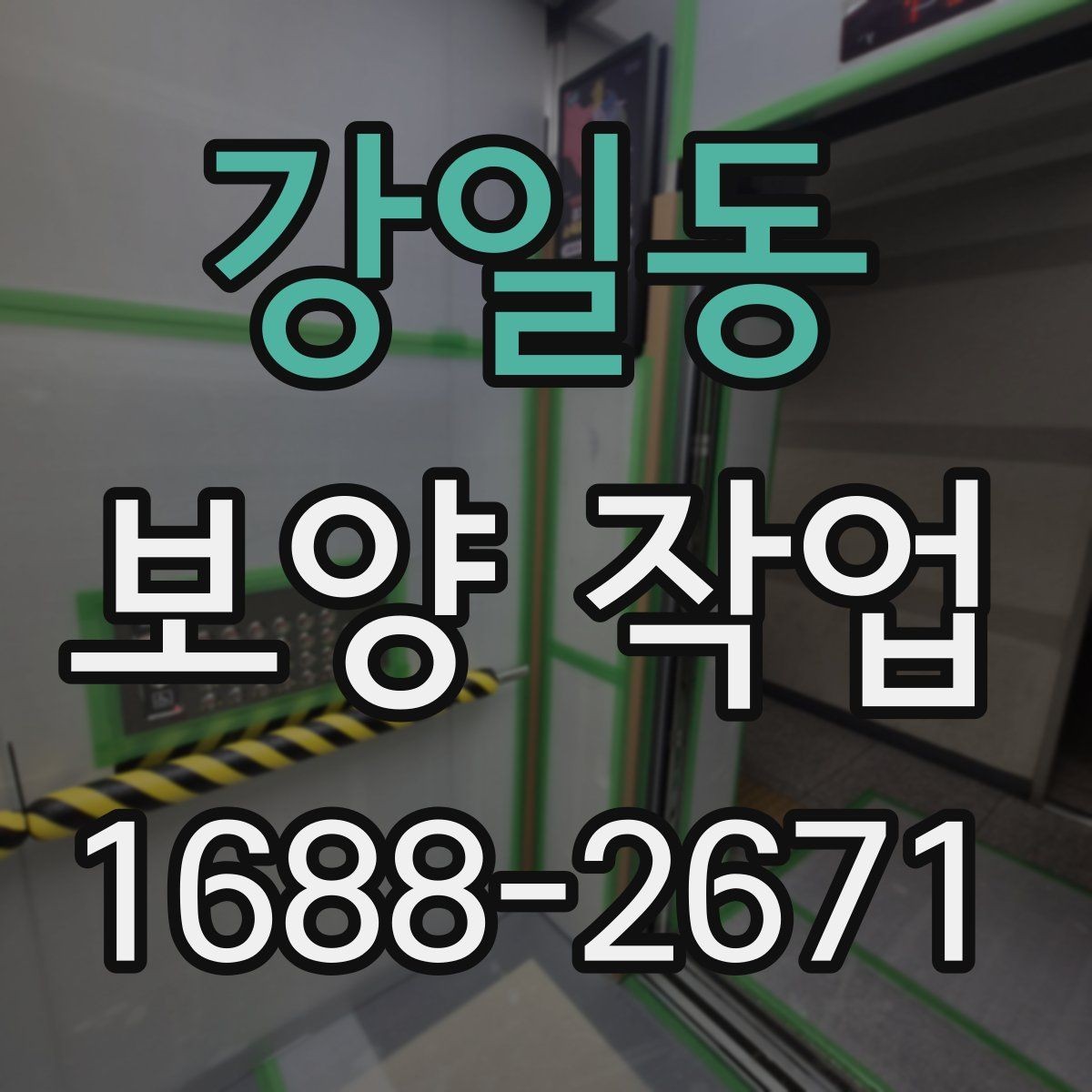 강일동 보양 작업 품질 차이를 만드는 디테일
