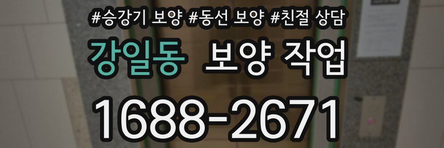 강일동 보양 작업