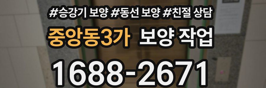 중앙동3가 보양 작업