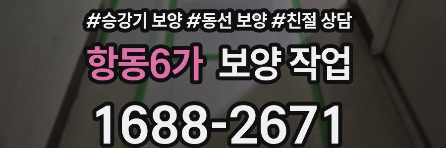 항동6가 보양 작업