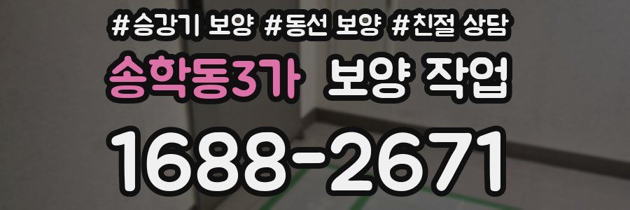 송학동3가 보양 작업